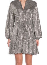 Alex Marie Shimmering Silver‎ sequin dress 10 Photo 0