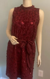 Nwt Anthropology Wine Boardx 3 -D Floral Dress Sz‎ 10 Photo 0