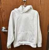 aritzia hoodie Photo 0