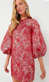 Hyacinth House Tuckernuck Janie Jacquard Mini Dress in Red & Silver Photo 0