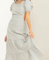 Blue Gingham Dress Photo 0