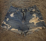 Distressed American Eagle Jean Shorts Photo 0