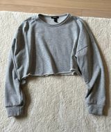Cropped Sweatshirt Gray Photo 0