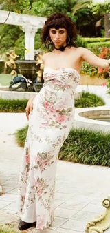New Princess Polly Abeila Strapless Dress Photo 0