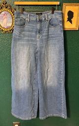 Banana Republic High Rise Wide Leg Jeans Sz 29/8 Blue Photo 0