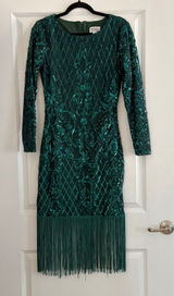 Unique Vintage 1920s Margaux Emerald Green Sequin Fringe Flapper Dress Small 4 Photo 0