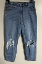 Abercrombie Fitch The Mom High Rise Jeans‎ Curve Love 28 6S Distressed Photo 0