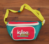 Igloo Stay Cool Retro Colorblock Fanny Pack Teal Pink Yellow Waist Bag Photo 0