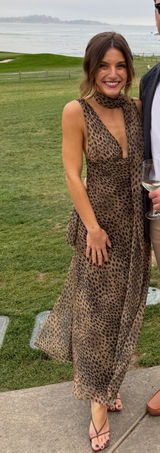 ZARA Cheetah Dress Photo 0