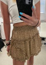 Cheetah Skirt Photo 0