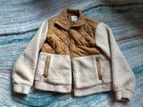 Winter Coat Photo 0