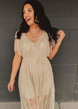 Wishlist Sheer Lace Maxi Dress in Ivory Photo 0