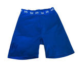 YITTY by‎ Lizzo Royal Blue Biker Shorts High Waisted Activewear Photo 0