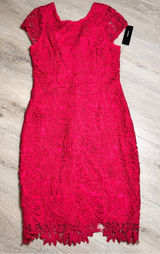 NWT Lulus Lace Sheath Dress Fuchsia Pink Short Sleeve Knee Length Size Medium M Photo 0