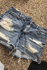 American Eagle Shorts Photo 0