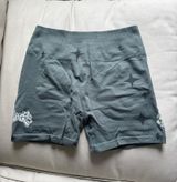Darc Sport Shorts Medium Gray Photo 0