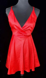 Zara Red Polka Dot Skater Dress‎ Open Back Photo 0