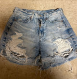 American Eagle Shorts Photo 0