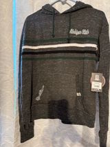 Michigan State Colosseum Hoodie Photo 0
