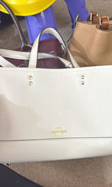 Coach Bag Tan Photo 0
