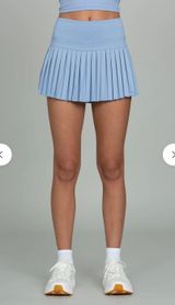 Gold Hinge Skirt Photo 0