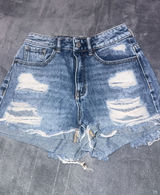 PacSun Shorts Photo 0
