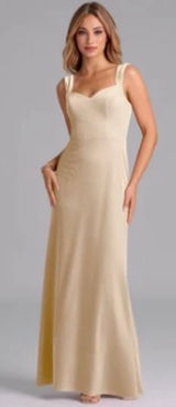 Denice Velvet Champagne Gold dress A2 Photo 0