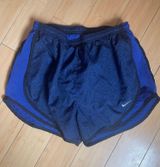 Dri-Fit Shorts Photo 0