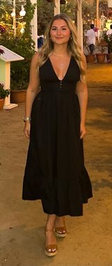 Aritzia sun dress Photo 0