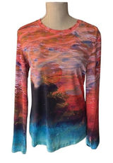 SILVER BAIT Colorful Long Sleeve Top Photo 0