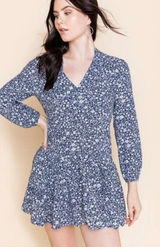 Francesca's Mi Ami Anita Blue Floral V-Neck Mini Baby Doll Dress, Small Photo 0