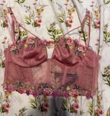PINK - Victoria's Secret Corset Photo 0