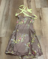 Lucy in the Sky Mini Dress Photo 0