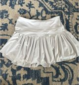 Gold Hinge Skirt Photo 0