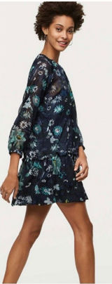 Ann Taylor Loft Navy Blue Winter Garden Floral Flounce Dress Size S Feminine Photo 0