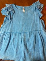 Palmetto Moon Blue Top Ruffle Sleeve Photo 0