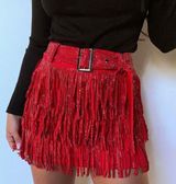 Rhinestone Fringe Skirt Photo 0