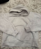 Aritzia Perfect Hoodie Photo 0