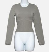 Aritzia Sculpt Knit Empire Longsleeve Longsleeve corset top sweater XS Photo 0