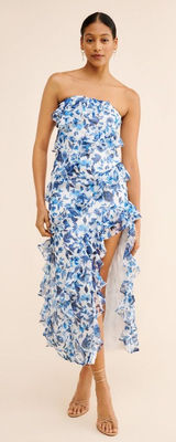 BHLDN Jia Bias-Cut Ruffled Printed V-Neck Gown size‎ 4 Photo 0