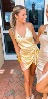 Revolve  Silk Mini Dress Photo 0