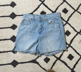 American Eagle Shorts Photo 0