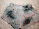 Lululemon Hotty Hot LR Short 2.5" Lined Reflective Size 4 NWOT Photo 0