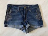 American Eagle Stretch Shorts Photo 0