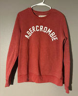 Abercrombie & Fitch Men's Brick Red Crewneck Sweater Photo 0