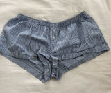 Brandy Melville blue and white gingham shorts Photo 0