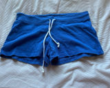 Blue Brandy Melville Shorts Photo 0