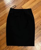 Work Skirt Photo 0