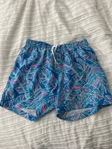 Chubbies Shorts Swim Photo 0
