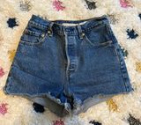 Ribcage Denim Shorts Photo 0